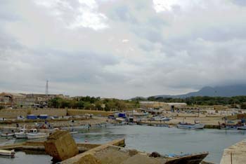 .Tipaza
