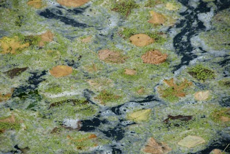 L'eau