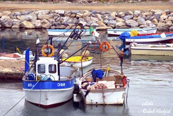 Le port de Tipaza