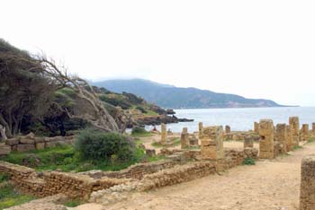 Tipaza