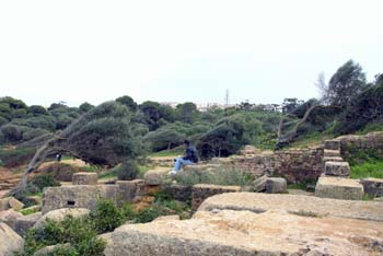 Paysage D'Algérie