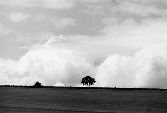 la vallée