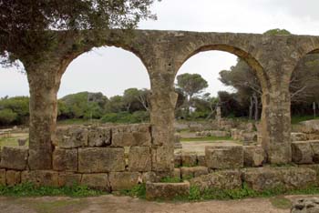 Sur les traces des romains.Tipaza.