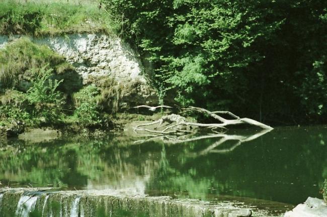 le miroir