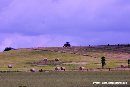 La traverser du paysage