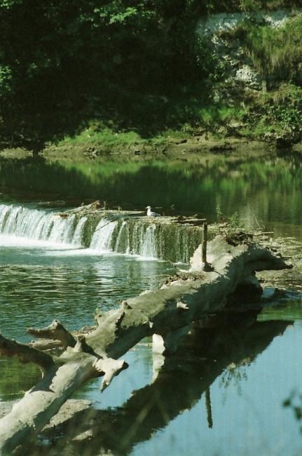  Reflet en Dordogne