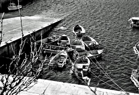 les petits bateaux